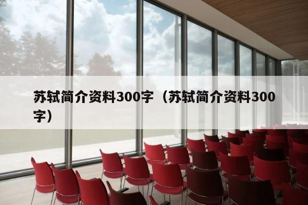 苏轼简介资料300字（苏轼简介资料300字） 第1张
