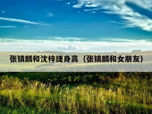 张镇麟和沈梓捷身高（张镇麟和女朋友） 第1张