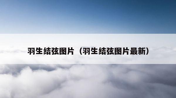 羽生结弦图片（羽生结弦图片最新） 第1张