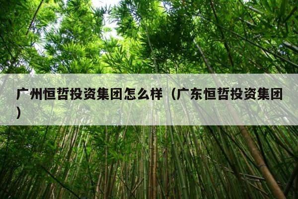广州恒哲投资集团怎么样（广东恒哲投资集团） 第1张
