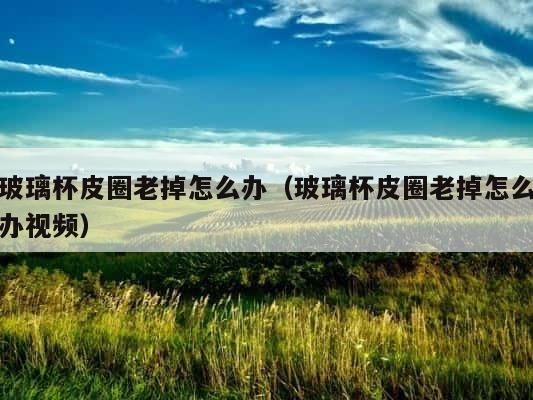 玻璃杯皮圈老掉怎么办（玻璃杯皮圈老掉怎么办视频） 第1张