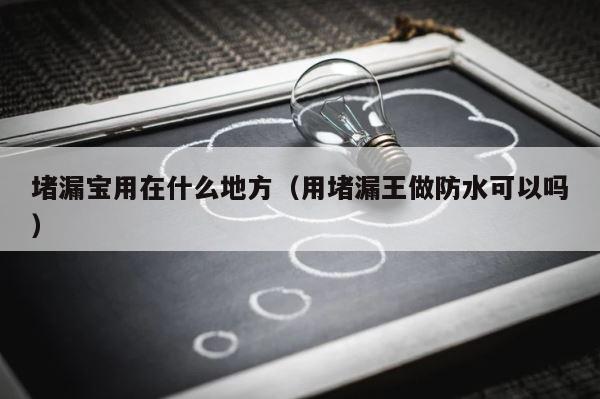 堵漏宝用在什么地方（用堵漏王做防水可以吗） 第1张