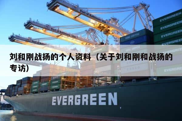 刘和刚战扬的个人资料（关于刘和刚和战扬的专访） 第1张