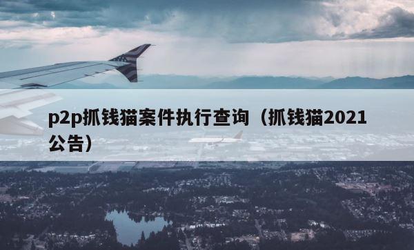 p2p抓钱猫案件执行查询（抓钱猫2021公告） 第1张