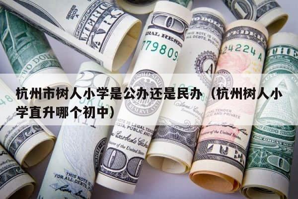 杭州市树人小学是公办还是民办（杭州树人小学直升哪个初中） 第1张