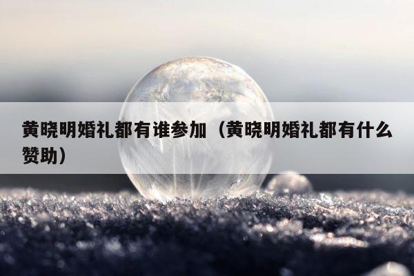 黄晓明婚礼都有谁参加（黄晓明婚礼都有什么赞助） 第1张