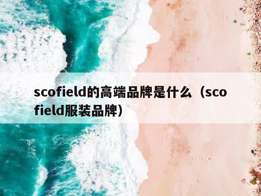 scofield的高端品牌是什么（scofield服装品牌） 第1张