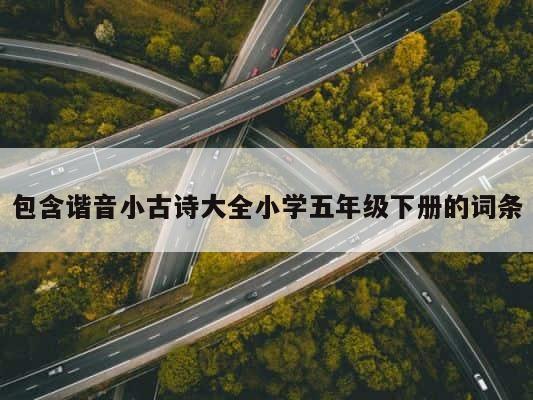 包含谐音小古诗大全小学五年级下册的词条 第1张