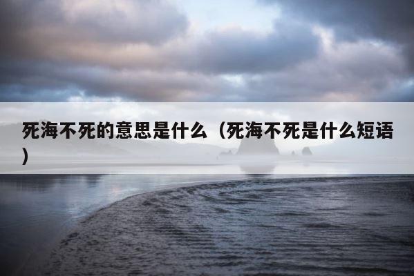 死海不死的意思是什么（死海不死是什么短语） 第1张