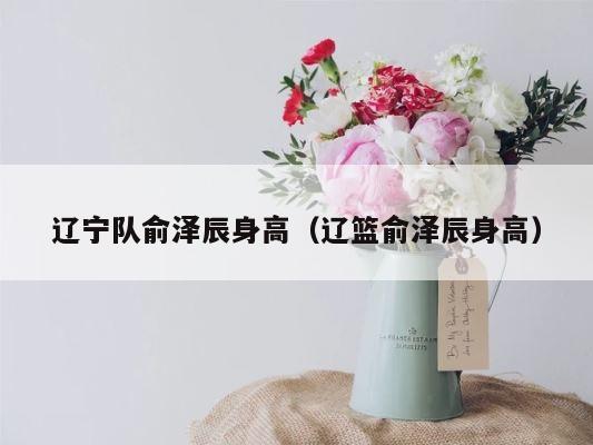 辽宁队俞泽辰身高（辽篮俞泽辰身高） 第1张