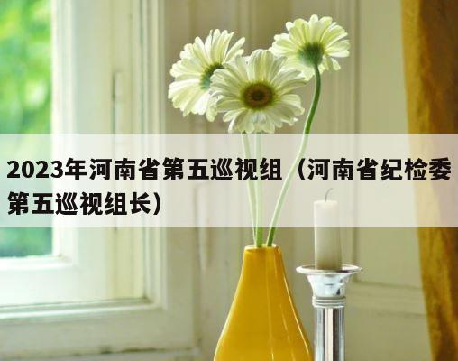 2023年河南省第五巡视组（河南省纪检委第五巡视组长） 第1张