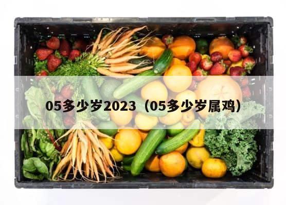 05多少岁2023（05多少岁属鸡） 第1张