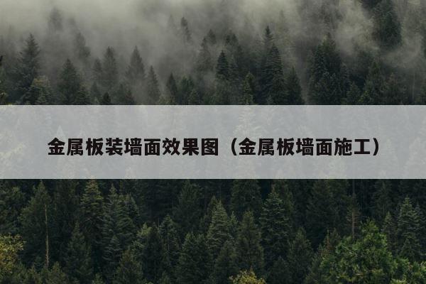 金属板装墙面效果图（金属板墙面施工） 第1张
