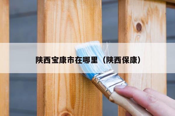 陕西宝康市在哪里（陕西保康） 第1张