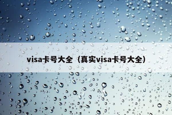 visa卡号大全（真实visa卡号大全） 第1张
