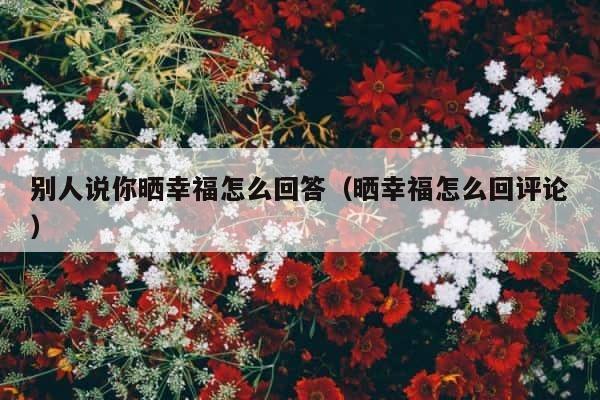 别人说你晒幸福怎么回答（晒幸福怎么回评论） 第1张