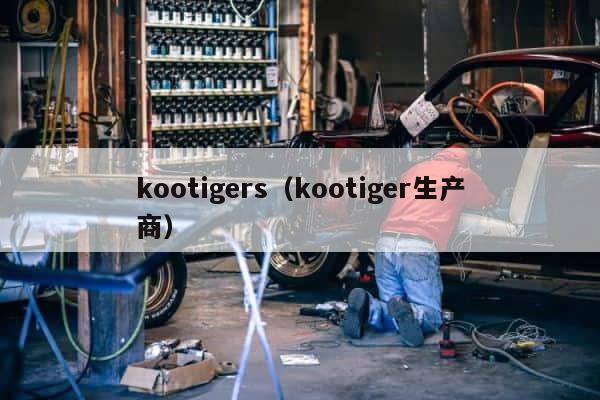 kootigers（kootiger生产商） 第1张