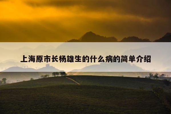 上海原市长杨雄生的什么病的简单介绍 第1张