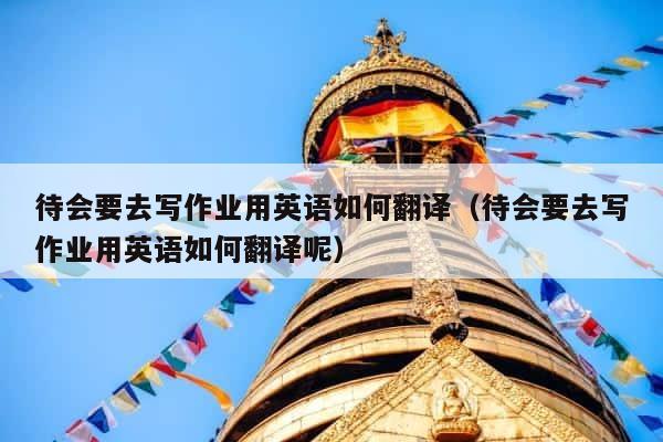 待会要去写作业用英语如何翻译（待会要去写作业用英语如何翻译呢） 第1张