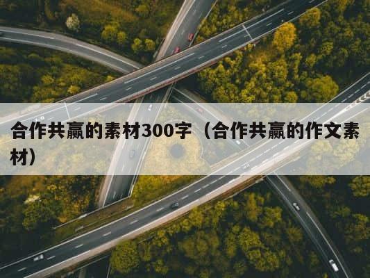 合作共赢的素材300字（合作共赢的作文素材） 第1张