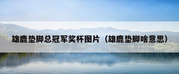 雄鹿垫脚总冠军奖杯图片（雄鹿垫脚啥意思） 第1张
