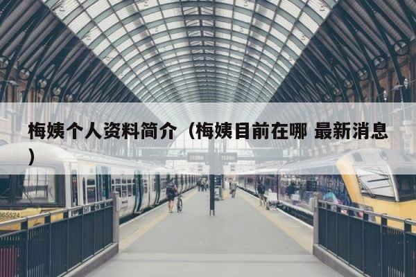 梅姨个人资料简介（梅姨目前在哪 最新消息） 第1张