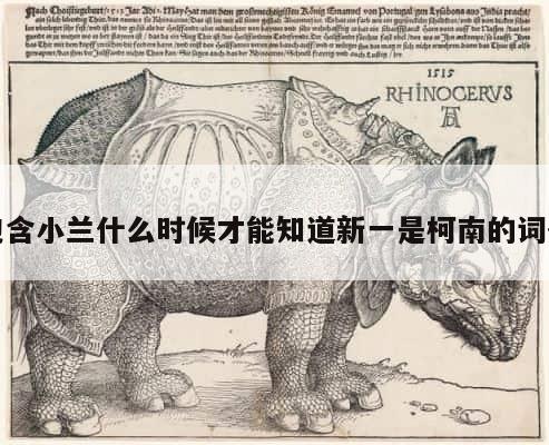包含小兰什么时候才能知道新一是柯南的词条 第1张