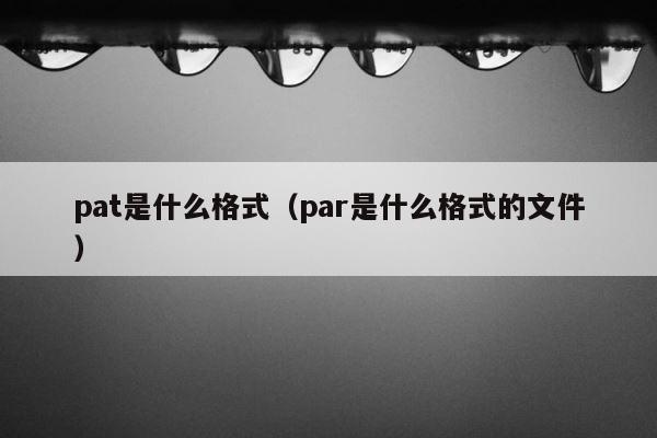 pat是什么格式（par是什么格式的文件） 第1张