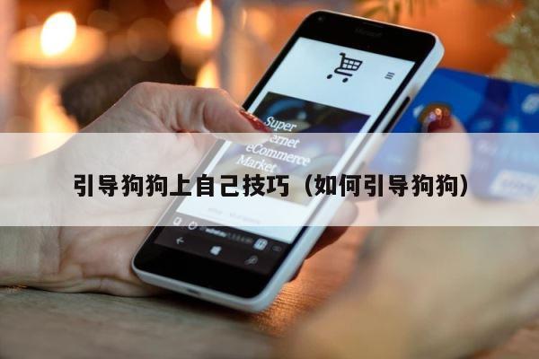 引导狗狗上自己技巧（如何引导狗狗） 第1张