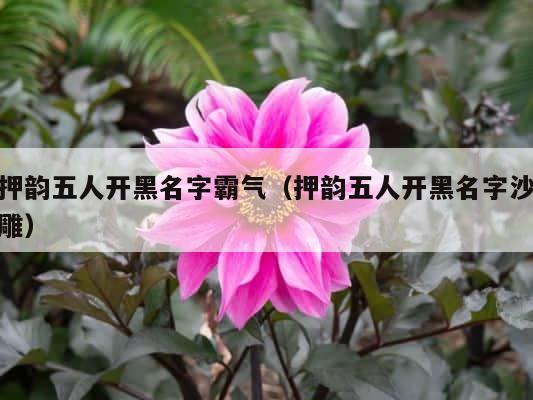 押韵五人开黑名字霸气（押韵五人开黑名字沙雕） 第1张