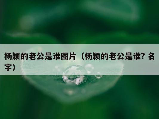 杨颖的老公是谁图片（杨颖的老公是谁? 名字） 第1张