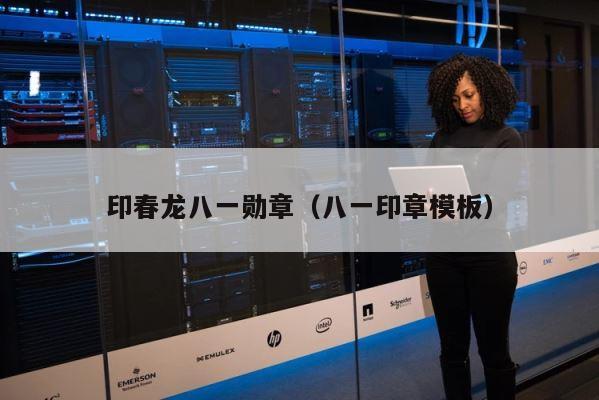 印春龙八一勋章（八一印章模板） 第1张