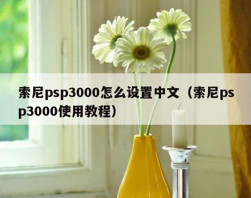 索尼psp3000怎么设置中文（索尼psp3000使用教程） 第1张