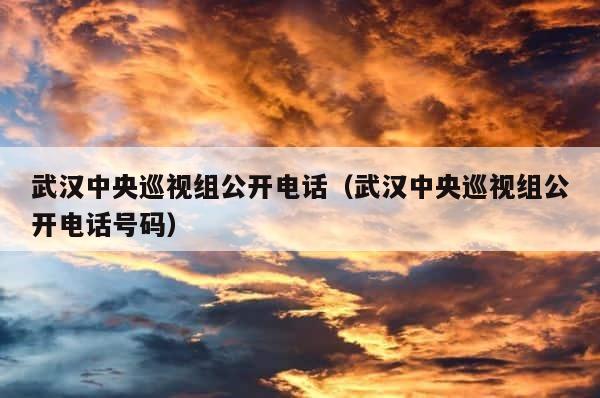 武汉中央巡视组公开电话（武汉中央巡视组公开电话号码） 第1张