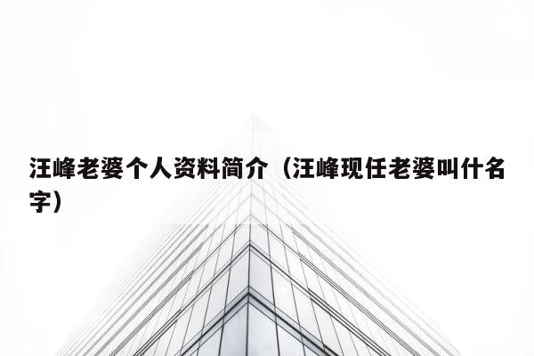 汪峰老婆个人资料简介（汪峰现任老婆叫什名字） 第1张
