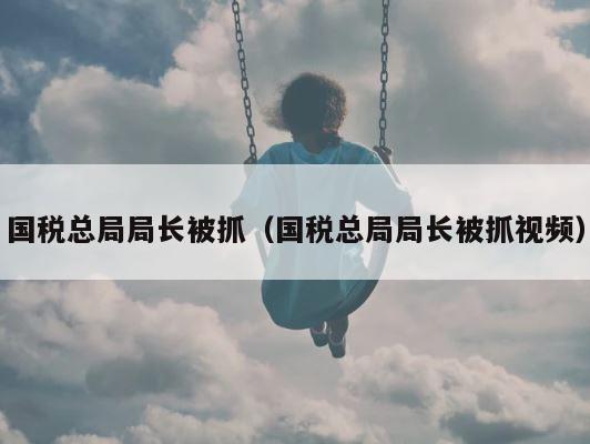 国税总局局长被抓（国税总局局长被抓视频） 第1张