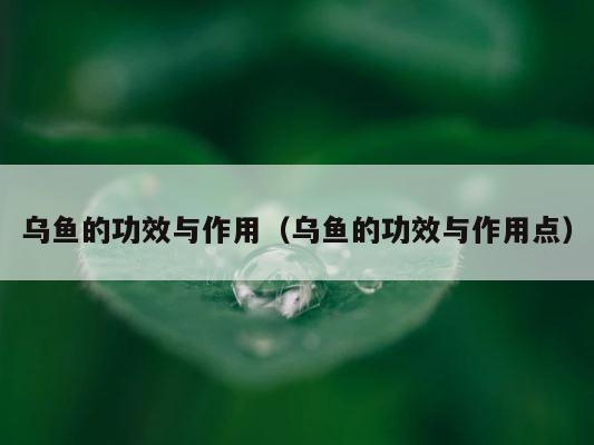 乌鱼的功效与作用（乌鱼的功效与作用点） 第1张