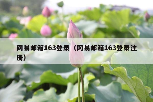 网易邮箱163登录（网易邮箱163登录注册） 第1张