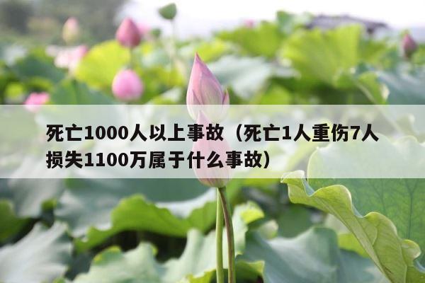 死亡1000人以上事故（死亡1人重伤7人损失1100万属于什么事故） 第1张
