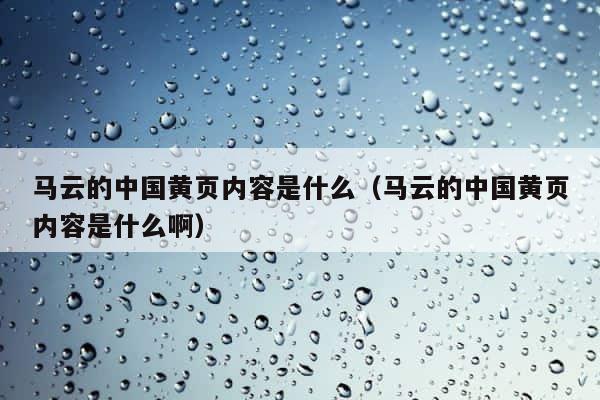马云的中国黄页内容是什么（马云的中国黄页内容是什么啊） 第1张