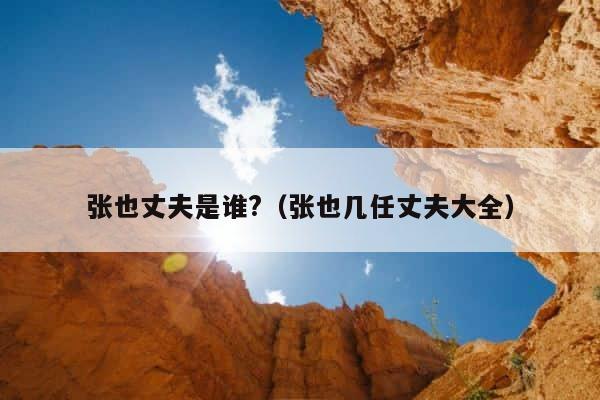 张也丈夫是谁?（张也几任丈夫大全） 第1张