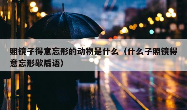 照镜子得意忘形的动物是什么（什么子照镜得意忘形歇后语） 第1张