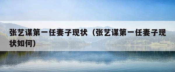 张艺谋第一任妻子现状（张艺谋第一任妻子现状如何） 第1张