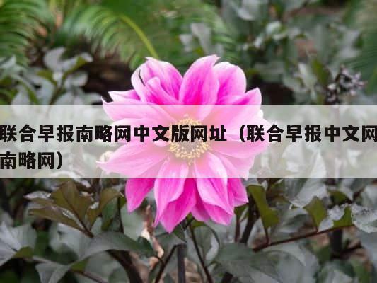 联合早报南略网中文版网址（联合早报中文网南略网） 第1张