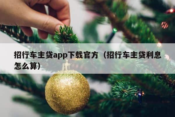 招行车主贷app下载官方（招行车主贷利息怎么算） 第1张
