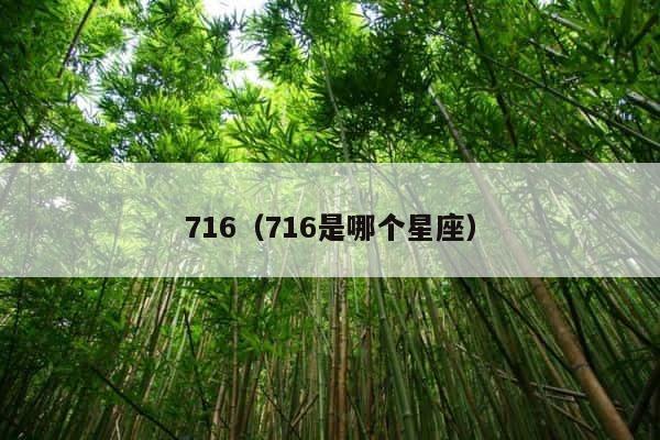 716（716是哪个星座） 第1张