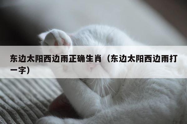 东边太阳西边雨正确生肖（东边太阳西边雨打一字） 第1张
