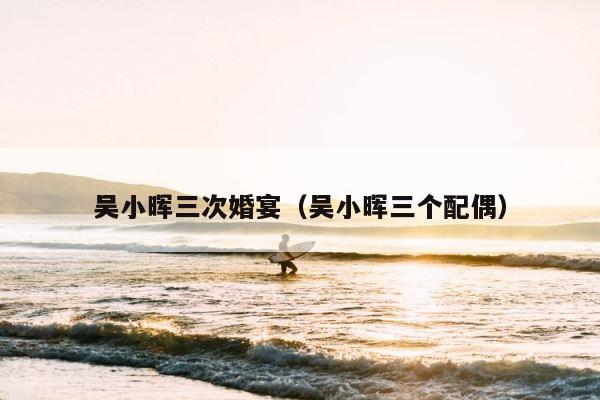 吴小晖三次婚宴（吴小晖三个配偶） 第1张