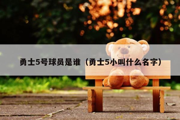 勇士5号球员是谁（勇士5小叫什么名字） 第1张