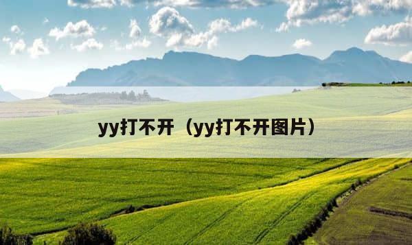 yy打不开（yy打不开图片） 第1张